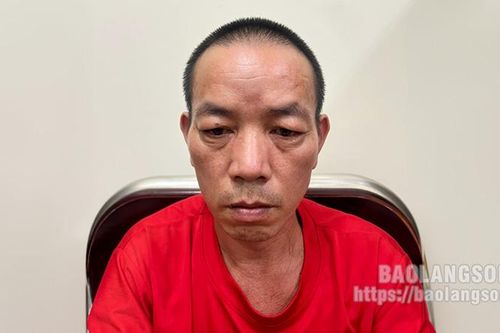 Tạm giữ hình sự 2 đối tượng mua bán, tàng trữ trái phép chất ma túy