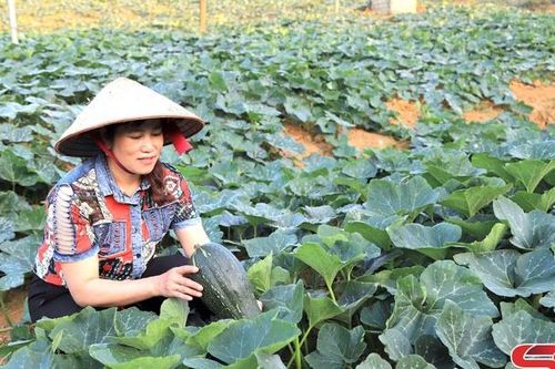 Năng động trong phát triển kinh tế