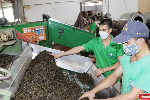 Thuận Châu nâng cao giá trị sản phẩm nông sản địa phương
