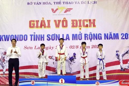 Giải vô địch Taekwondo tỉnh Sơn La mở rộng năm 2023