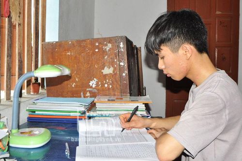 Nghị lực của Phượng