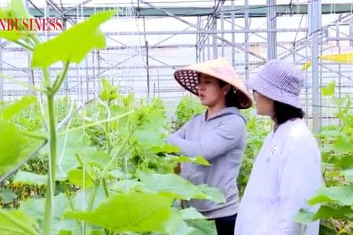 Đổi mới tư duy, sản xuất hiện đại để làm giàu