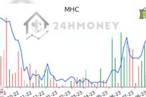MHC giải trình về 5 phiên tăng trần liên tiếp