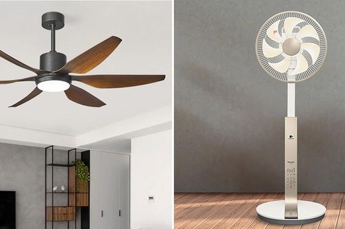 Quạt trần hay quạt cây tốn điện hơn?