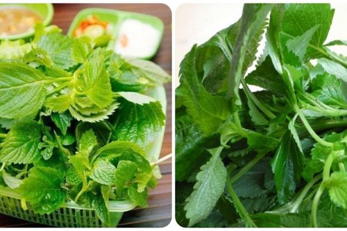 Rau kinh giới có tốt cho sức khỏe không?