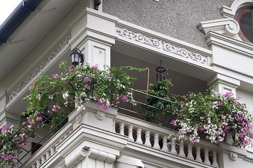 Khám phá khu biệt thự trồng toàn hoa giấy, vừa tạo cảnh quan vừa mang đến tài lộc