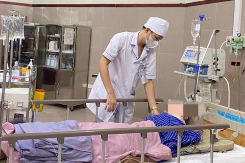 Trèo cây thu hoạch hồi, cụ ông bị ngã đa chấn thương