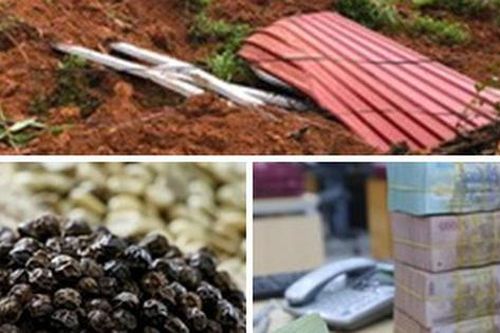 Chỉ đạo, điều hành của Chính phủ, Thủ tướng Chính phủ nổi bật tuần từ 31/7 - 4/8/2023