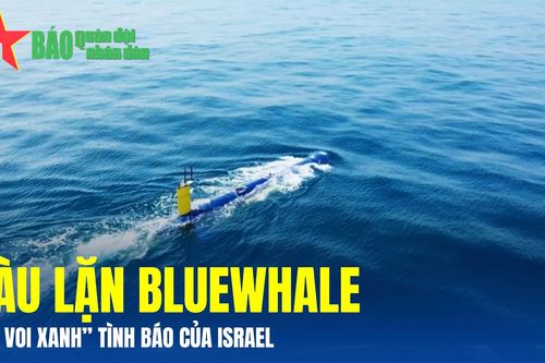 Tàu lặn BlueWhale - 'Cá voi xanh' tình báo của Israel