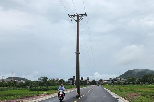 Yêu cầu khẩn trương di dời các cột điện 'đứng' giữa đường ở Thanh Hóa