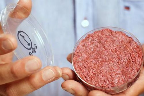 Thịt nuôi cấy trong phòng thí nghiệm là chay hay mặn?