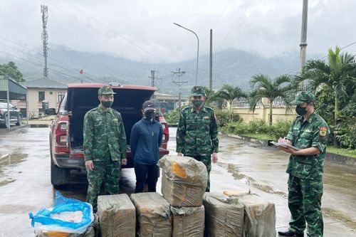 Phát hiện gần 500kg nầm lợn không rõ nguồn gốc