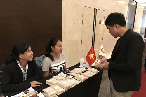 Chuyên gia: Doanh nghiệp xuất khẩu gạo cần tính chuyện đường dài
