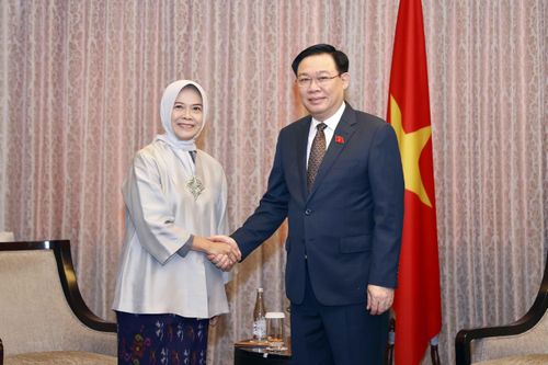 Hoạt động của Chủ tịch Quốc hội Vương Đình Huệ tại Indonesia