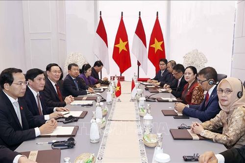 Truyền thông Indonesia nhấn mạnh ý nghĩa của hợp tác nghị viện với Việt Nam