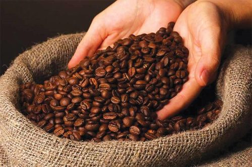 Xuất khẩu nông sản sang UAE: Giá phải hấp dẫn