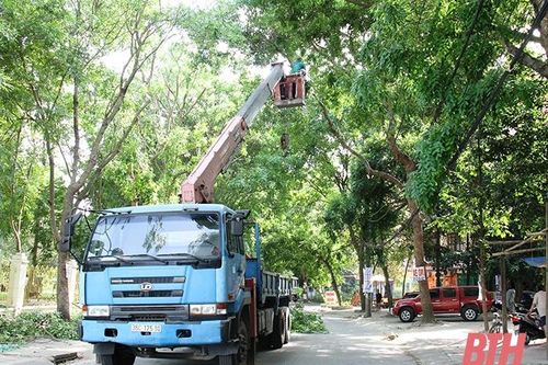 Để phố, phường thêm xanh