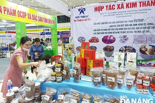 Gần 8.000 thành viên mới tham gia vào kinh tế hợp tác xã