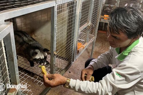 Nuôi đặc sản theo mô hình tuần hoàn