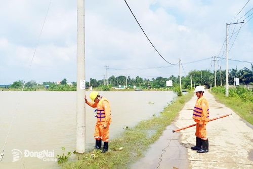 Ngành điện đảm bảo phương án ứng phó sự cố thiên tai