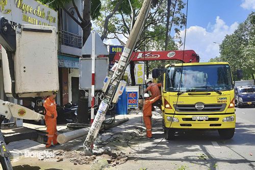 Cắt điện 300 hộ để thay thế trụ điện bị cây xanh đè gãy