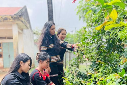 Chư Sê duy trì 18 câu lạc bộ 'Chi hội phụ nữ 5 không 3 sạch xây dựng nông thôn mới'