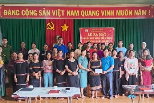 Ra mắt 'Chi hội nghề nghiệp sản xuất cà phê sạch' tại làng Mèo
