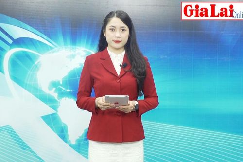 Gia Lai 24h: Công an Gia Lai tổng kiểm soát ô tô khách và xe container