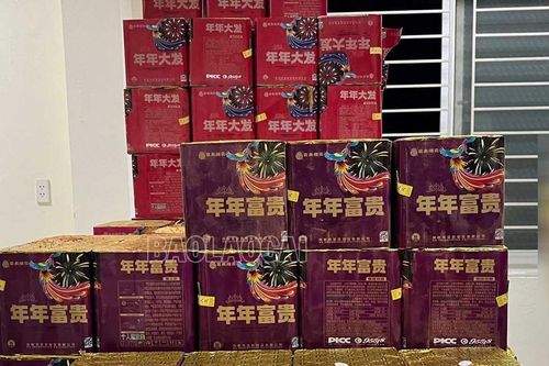 Bắt đối tượng vận chuyển gần 170 kg pháo lậu qua biên giới