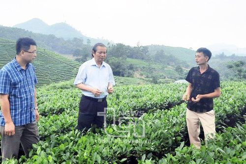 Phát triển HTX gắn với xây dựng nông thôn mới