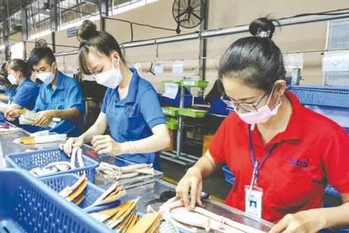 Chuyển hướng kết nối, gia tăng cơ hội xuất khẩu cho hàng Việt