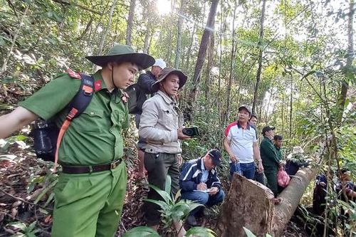 Kỳ 3: Vì màu xanh của rừng, máu chiến sĩ Công an đã đổ