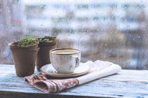 Cà phê Hà Nội một ngày mưa