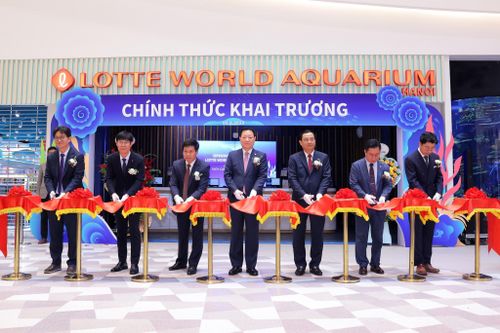 Thủy cung Lotte World Hà Nội đi vào hoạt động