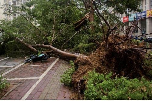 Thiệt hại kinh tế do thiên tai trong tháng 7 của Trung Quốc vượt quá 6 tháng cộng lại