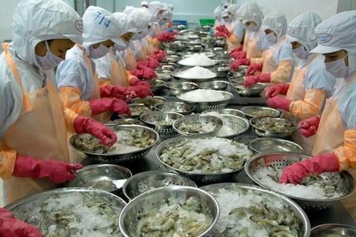 Tận dụng cơ hội xuất khẩu tôm