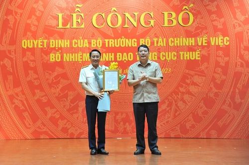 Cục trưởng Cục Thuế được bổ nhiệm làm Phó Tổng cục trưởng Tổng cục Thuế