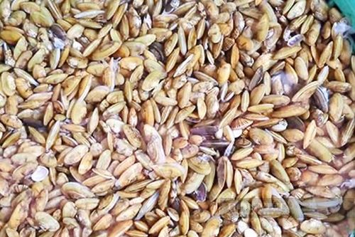 Đặc sản tên độc lạ chỉ có ở Quảng Ngãi vô cùng ngon ngọt