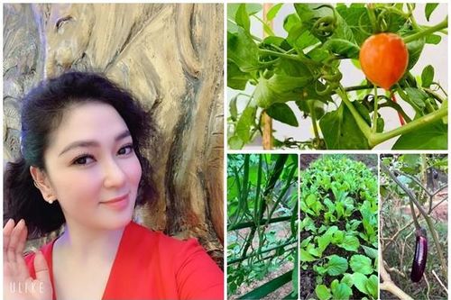 Khu vườn xanh mướt trong biệt thự của Hoa hậu Nguyễn Thị Huyền