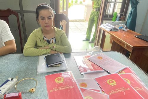'Nàng dâu' quỷ quái lừa gia đình nhà chồng gần 2,5 tỷ đồng