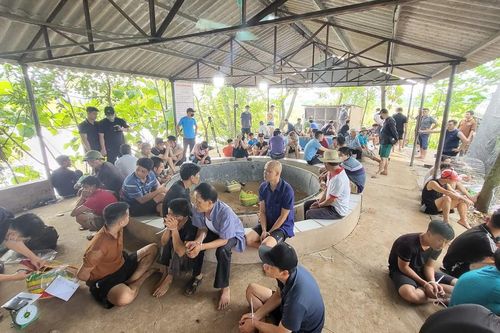 Phá sới gà 'khủng' ở Phú Thọ, bắt gần 80 con bạc