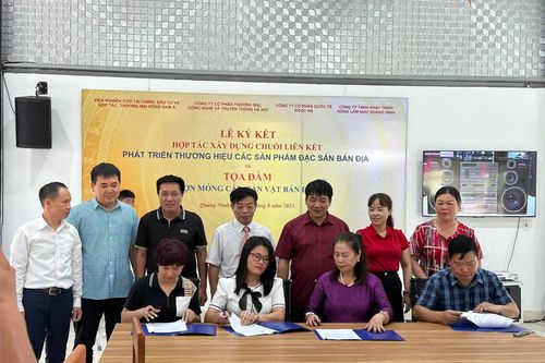 Kết nối chuỗi phát triển thương hiệu sản vật bản địa cho Lợn Móng Cái