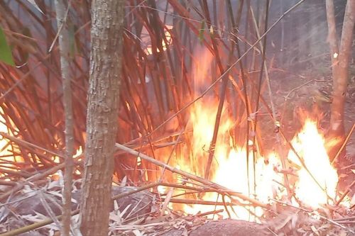 Cháy rừng đặc dụng ở khu vực Nghĩa trang thành phố Huế nghi do đốt vàng mã