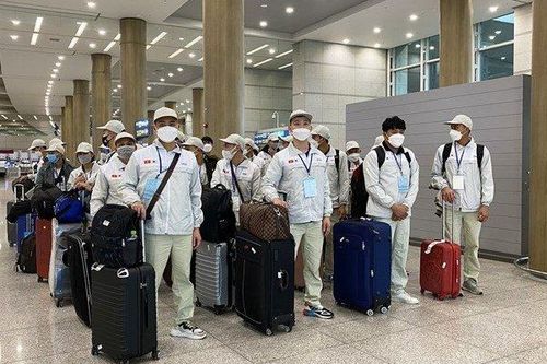 Thị trường xuất khẩu lao động khởi sắc, nhiều cơ hội cho người trẻ