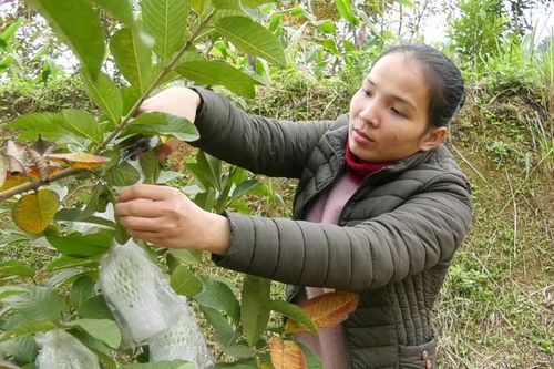 'Hỗ trợ phụ nữ khởi nghiệp là đòn bẩy góp phần phát triển kinh tế, xã hội ở địa phương'