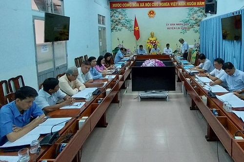 Nâng cao hiệu quả Đề án bảo tồn vườn quýt hồng huyện Lai Vung