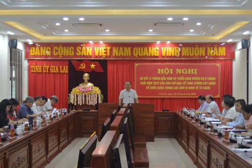 Phát triển Đảng trong các đơn vị kinh tế tư nhân còn nhiều khó khăn