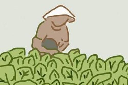 Rau đồng