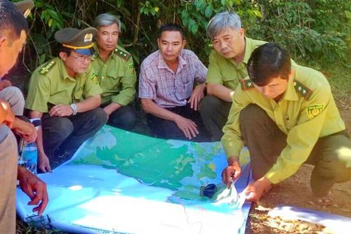 Kỳ cuối: Để 'lá phổi' thêm xanh