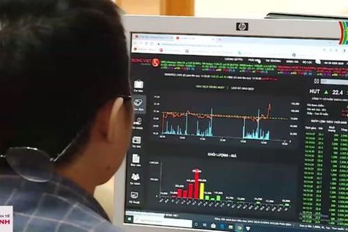 Cổ phiếu ngân hàng đồng loạt tăng trong tuần đầu tháng 8